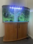 vävd akvarium med möbel