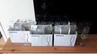 Champagneglas 22 st