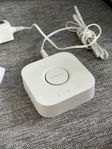 Philips Hue Brygga