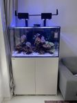 Red sea max 260L