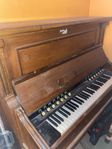 Gammal orgel, C B Pettersson, Herrljunga