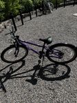 Frog Bikes 62