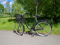 Monark Karin