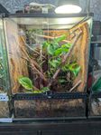 Exo terra terrarium 45x45x60