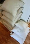 Stort PAKET dunkuddar innerkuddar DAY Home