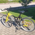 Peak Altus Mountainbike
