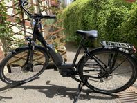 ECORIDE AMBASSADOR M9