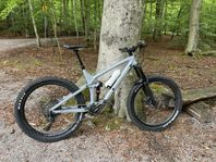 Trek remedy 9.8 