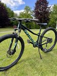 Mountainbike 
