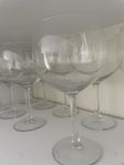 12 fina glas