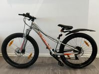 MTB Specialized 24 Riprock
