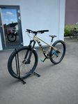 Trek Roscoe 9 2024