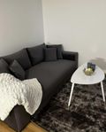Björnen Bäddsoffa Sweef 