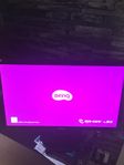 BENQ GL2450