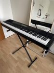 Casio elpiano keys CDP-230R