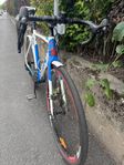 White Cyclocross pro Gravel / Racer 