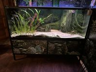 450 liters akvarium med BTN bakgrund komplett med fiskar