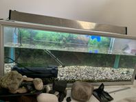 akvarium 125 liter 