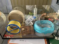Glasbur för små gnagare