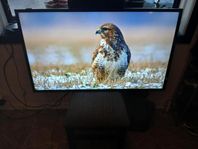 Nec 46" Skärm Full HD. 