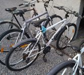 white cykel