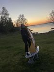 fladdermusfåtöljer