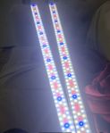 akvarium led lumax 