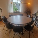 matbord i betong och 8st stolar