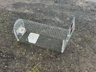 Lotin Traps fälla - grävlingsfälla
