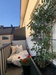 BoConcept Rome solsäng – elegant utemöbel