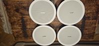 BOSE 