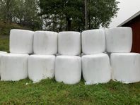 Intressekoll krav ensilage 2025