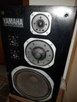 Fantastiska Yamaha NS1000N 