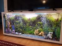 Akvarium 