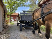 Flakvagn