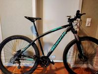 Bianchi Duel 29 Mountainbike