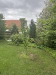 Dubbelt pelaräppelträd