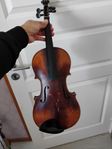 Antonius strad 