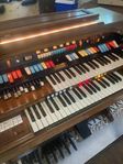 Hammond Aurora Classic