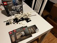 Lego Ideas 21320 Dinosaur Fossils 
