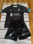 Fotbollströja +shorts Liverpool Mc Allister strlk 148