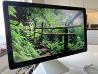 Apple Thunderbolt Display 27” A1407