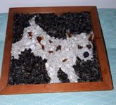 En stenmosaik tavla med djurmotiv i mörkret!.