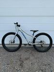 Trek Roscoe 24 tum