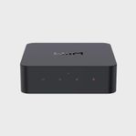 Wiim pro plus streamer