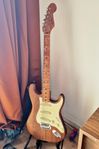 BYTES Partscaster Fender Allparts, Warmoth, Gotoh, Lundgren