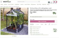 Drivhus DeLux för odlingslåda/ friland och pallkrage
