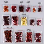 Plastic Zipper Bag / Transparent.