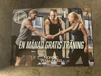 En månad gratis träning Nordic Wellness