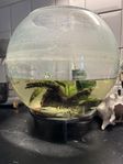 Akvarium
